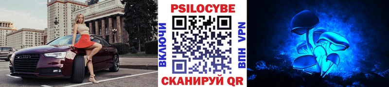 Псилоцибиновые грибы GOLDEN TEACHER  Купить закладки  Серафимович 